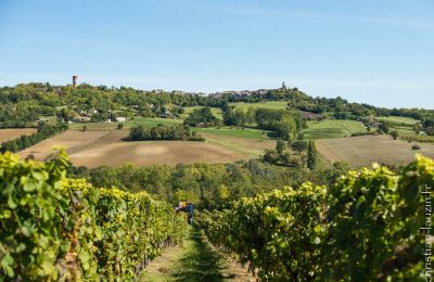 La cave des vignerons du Quercy