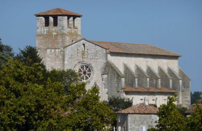 Collégiale Saint-Martin